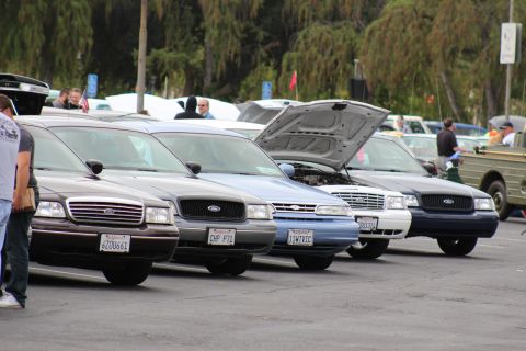 2003 Ford Crown Victoria - row of Ford full-size sedans parked nose-out, one wearing CHP P71 plate and another with hood raised, at an outdoor car gathering.