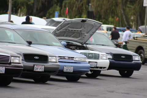 2003 Ford Crown Victoria - close row of black, blue, white and navy Ford full-size sedans with plates CHP P71 and 1SMTVIC, one hood up, at a car meet.