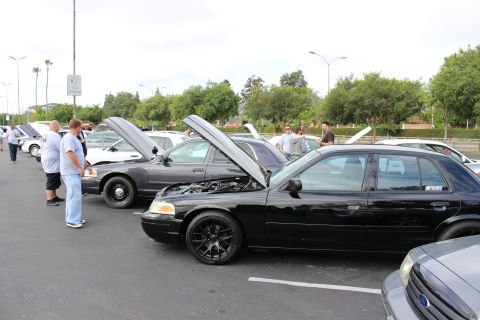 2003 Ford Crown Victoria - People look over a row of black and white Ford Crown Victoria sedans with their hoods raised at a parking-lot meet.