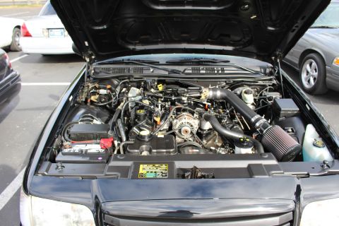 2003 Ford Crown Victoria - Close view of a Ford sedan's engine bay showing a V8, serpentine belt, alternator and aftermarket cold-air intake.