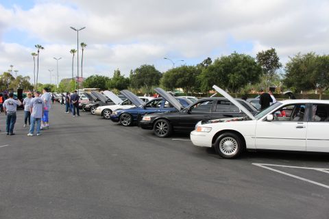 2003 Ford Crown Victoria - long row of Ford and Mercury Panther sedans lines a parking lot with hoods raised and attendees walking by.