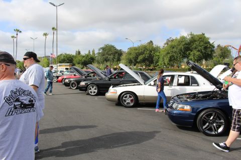 2003 Ford Crown Victoria - Attendees mingle along a row of black, white and blue Panther sedans with raised hoods under palm trees.