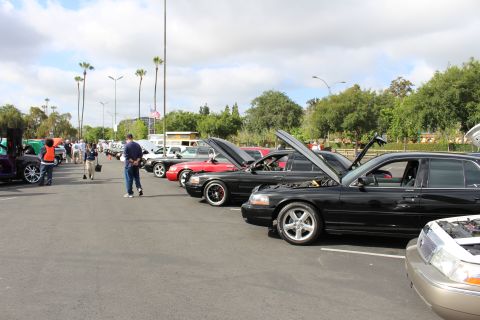 2003 Ford Crown Victoria - Black full-size sedans line a parking-lot car show with hoods raised, palm trees and cloudy sky behind.