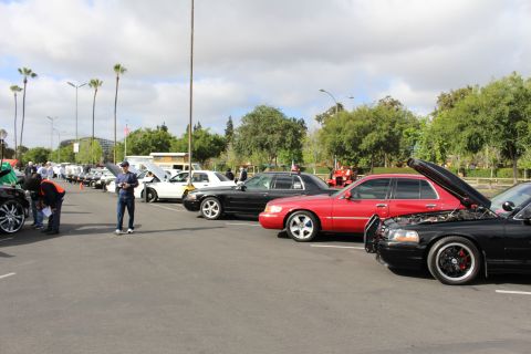 2003 Ford Crown Victoria - long row of black, red and white sedans lines a parking-lot car show with palm trees and people milling about.