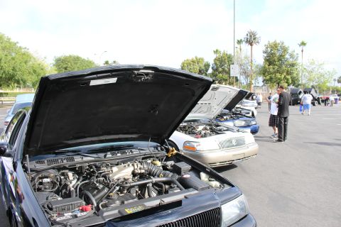 2003 Ford Crown Victoria - row of sedans with hoods up reveals their engines at an outdoor car meet, spectators walking the lot.