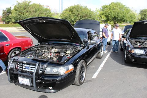 2003 Ford Crown Victoria - black Ford Crown Victoria fitted with a push bar shows its engine bay with hood up at a parking-lot car show.