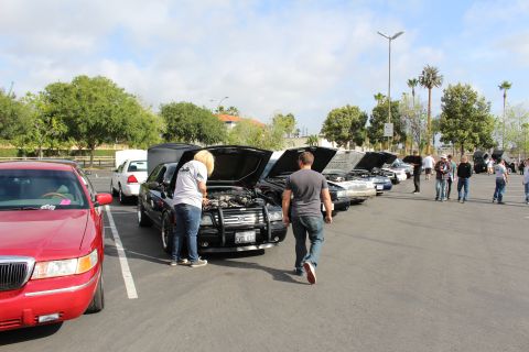 2003 Ford Crown Victoria - People gather around a long row of mostly black sedans with hoods raised at an outdoor parking-lot car show.