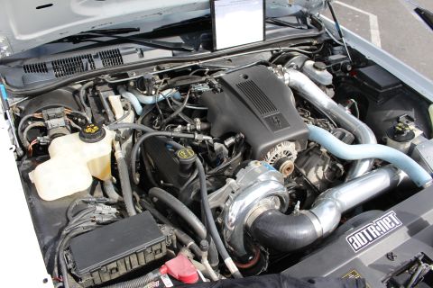 2003 Ford Crown Victoria - engine bay of a white sedan fitted with a centrifugal supercharger, blue silicone hoses, and an aftermarket air intake.