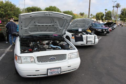 2003 Ford Crown Victoria - white Ford Crown Victoria with hood open leads a row of similar sedans displayed at an outdoor car show.
