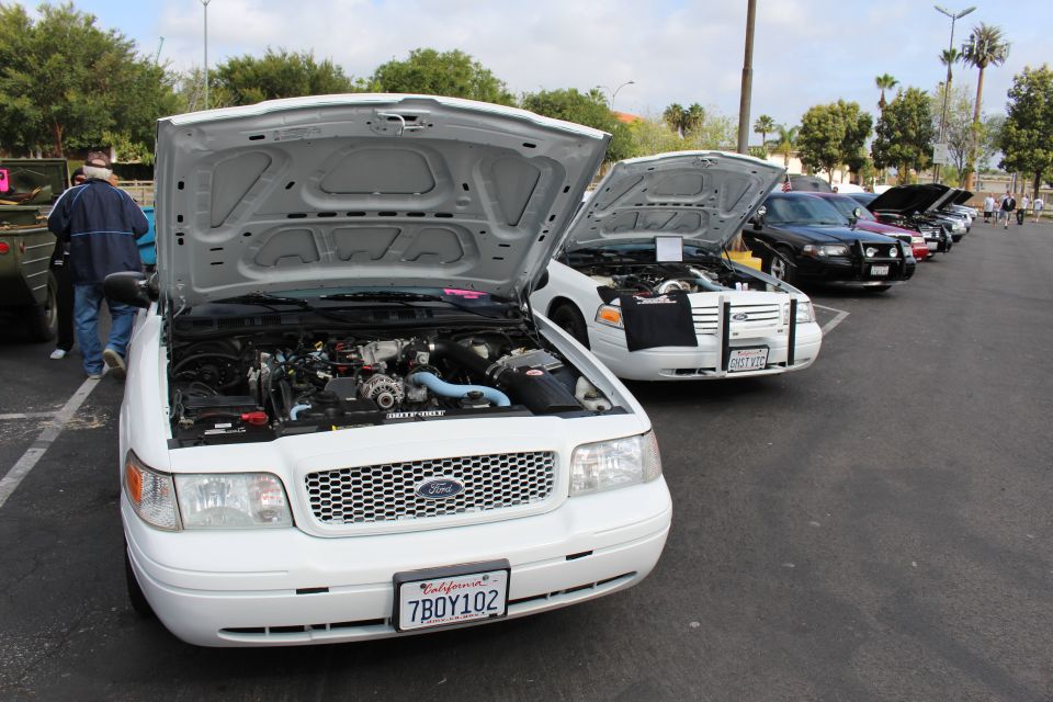 Row of Ford Crown Victoria sedans with hoods up at an outdoor car show