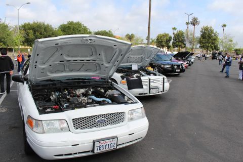 2003 Ford Crown Victoria - Several white and black Ford Crown Victoria sedans parked in a row with hoods up at an outdoor car show.