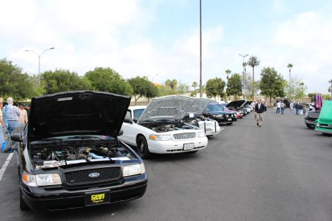 2003 Ford Crown Victoria - black Ford Crown Victoria leads a row of white and dark sedans with raised hoods along a car-show aisle.