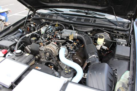 2003 Ford Crown Victoria - Close detail of a V8 engine bay showing the alternator, black air intake tube, and a blue silicone coolant hose.
