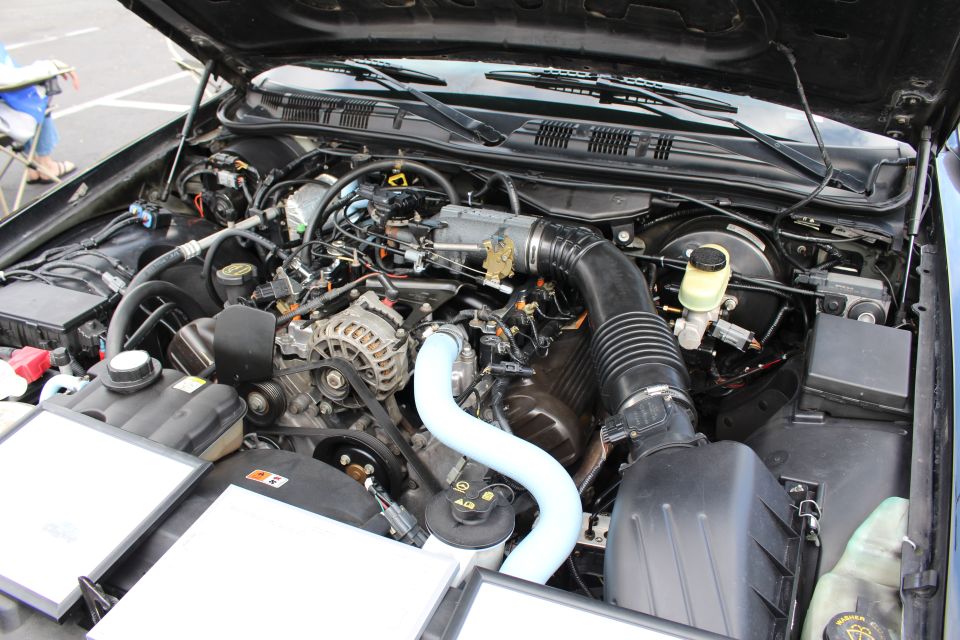 Detail of a V8 engine bay showing alternator, intake, and blue hose