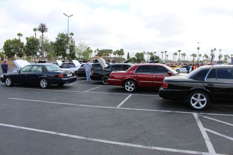 2003 Ford Crown Victoria - line of black and dark-red full-size sedans displays open hoods across a parking-lot car show under a cloudy sky.