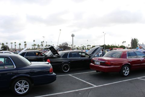 2003 Ford Crown Victoria - Several full-size sedans in black, dark red and navy sit nose-in with hoods up at an outdoor parking-lot car show.