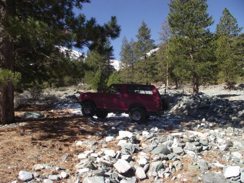 1988 Ford Bronco - A red 1988 Ford Bronco navigates a rocky, wooded trail under a clear blue sky.