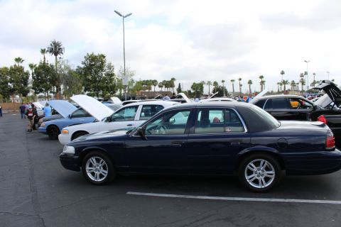 2003 Ford Crown Victoria - dark blue Ford full-size sedan is shown in side profile, parked among a long row of show cars with raised hoods under gray skies.