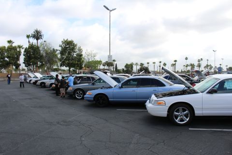 2003 Ford Crown Victoria - long diagonal row of full-size sedans, several light blue and white, display open hoods as attendees walk the parking-lot car show.