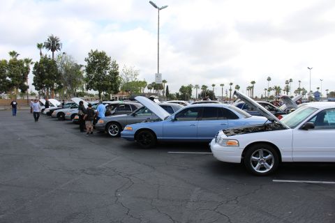 2003 Ford Crown Victoria - Attendees walk past a long row of full-size sedans, including light-blue and white cars, parked with hoods open at an outdoor car show.