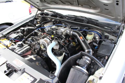 2003 Ford Crown Victoria - Close-up of a Ford V8 engine bay featuring an aftermarket cold-air intake, blue silicone hoses and an MSD box.