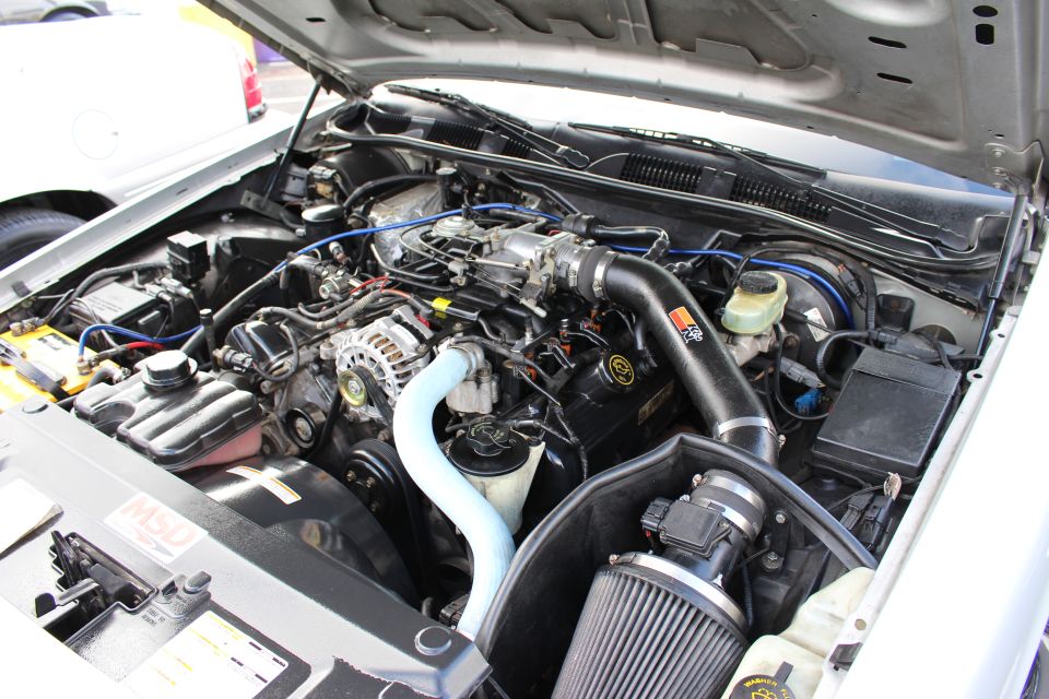 Close-up of Ford V8 engine bay with cold-air intake and blue hoses