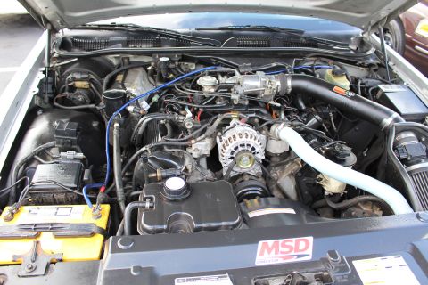 2003 Ford Crown Victoria - detailed engine bay shows the alternator, blue spark-plug wires and a red MSD ignition box on a yellow battery.