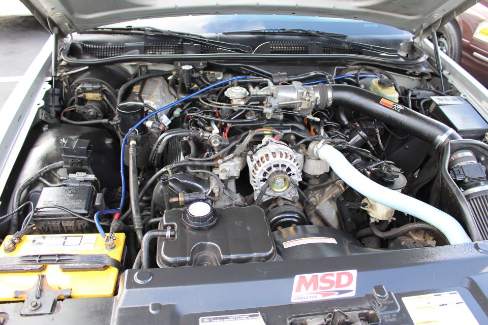 Engine bay with alternator, blue plug wires and MSD ignition box