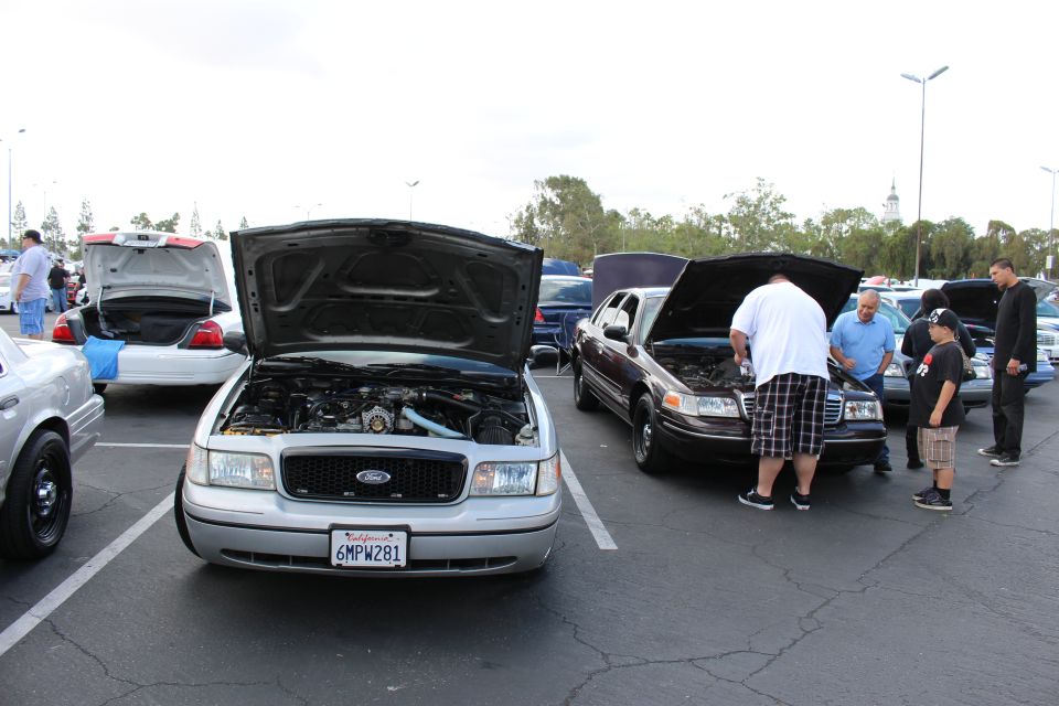 Silver and black Ford sedans with open hoods as people inspect them