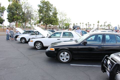 2003 Ford Crown Victoria - row of black and white Ford sedans, several with hoods raised, lines a parking lot as spectators look on under leafy trees.