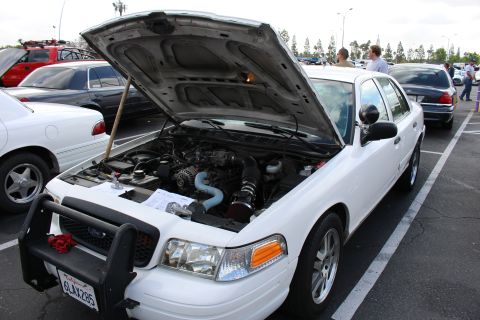 2003 Ford Crown Victoria - white Ford sedan with a front push bar sits hood-up, revealing a V8 with blue silicone hoses, plate 6LX7365 visible.
