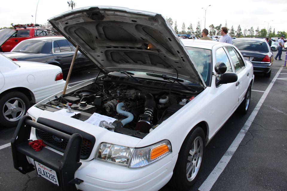 White Ford sedan with push bar and open hood showing blue-hose engine