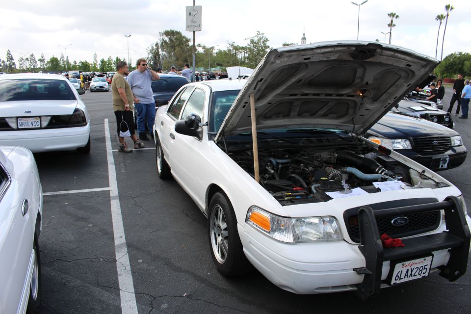 White Ford Crown Victoria with hood up at an outdoor car show, California plate