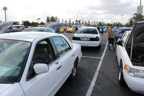 2003 Ford Crown Victoria - Several white full-size sedans line a parking-lot car show, one in the foreground with tinted windows and others showing open hoods in the…