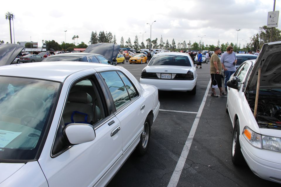 Row of white full-size sedans parked at an outdoor car show under cloudy skies