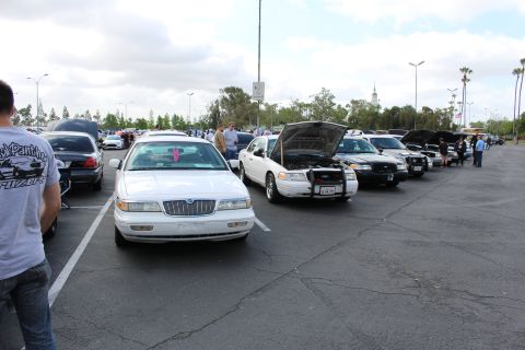 2003 Ford Crown Victoria - long row of full-size sedans, several with hoods raised, displayed across a car-show parking lot under an overcast sky.