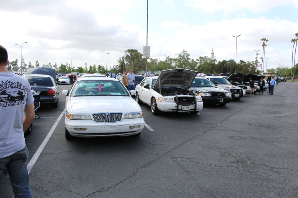 Row of Panther-platform sedans with open hoods at a parking-lot car show