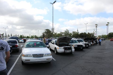 2003 Ford Crown Victoria - white Mercury sedan leads a lineup of full-size cars with raised hoods at a parking-lot car show, palm trees and a tower in the distance.
