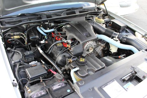 2003 Ford Crown Victoria - Close-up of a clean V8 engine bay in a white sedan, featuring light-blue coolant hoses, a black plastic intake and battery with spec labels.