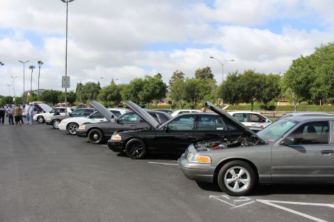 2003 Ford Crown Victoria - Several full-size sedans, mostly black and gray, are parked in a row with hoods raised as people stand nearby.