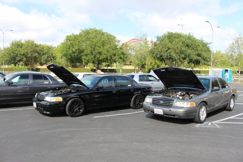 2003 Ford Crown Victoria - black sedan and a gray Ford sedan are parked next to each other with hoods up, trees and a coaster behind them.