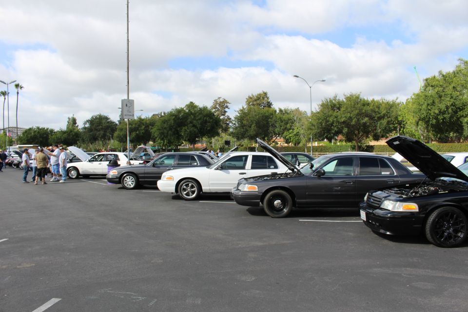 Line of black and white full-size sedans with hoods open at a car meet
