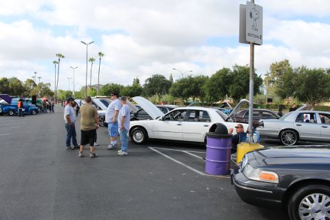 2003 Ford Crown Victoria - People stand among white and gray full-size sedans in a parking lot beside a sign marked Section 2 with a Snoopy graphic.