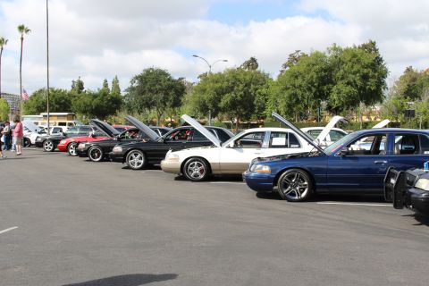 2003 Ford Crown Victoria - long row of full-size sedans sit with hoods open, including a dark blue lowered car on chrome wheels in front.