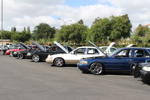 2003 Ford Crown Victoria - dark blue lowered Ford sedan on chrome wheels sits in front of a row of black, gray and white sedans with hoods up.