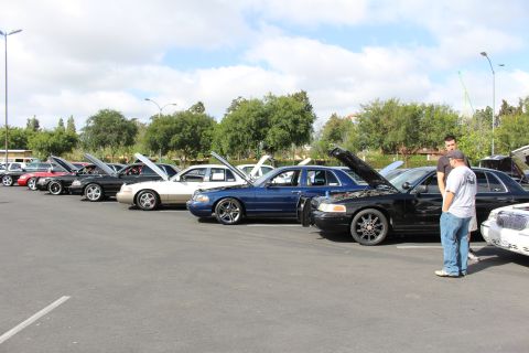 2003 Ford Crown Victoria - Two men look at the engine of a black sedan parked among a row of full-size cars with hoods raised at a meet.