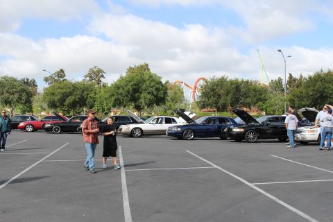 2003 Ford Crown Victoria - row of full-size sedans sit with hoods raised in a wide parking lot, an orange roller coaster rising behind the trees.