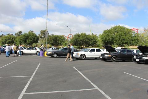 2003 Ford Crown Victoria - White and black full-size sedans line up with a couple of hoods raised as attendees mill about a paved lot.
