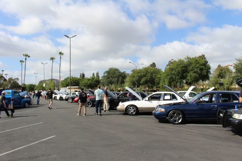 2003 Ford Crown Victoria - Attendees walk a long row of full-size sedans, some with hoods up, beneath tall palm trees on an overcast day.