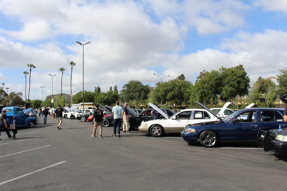 Crowd browsing a long row of sedans with open hoods under palm trees in a lot